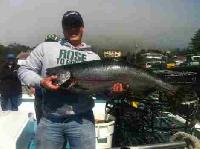 Whale Watching Depoe Bay 